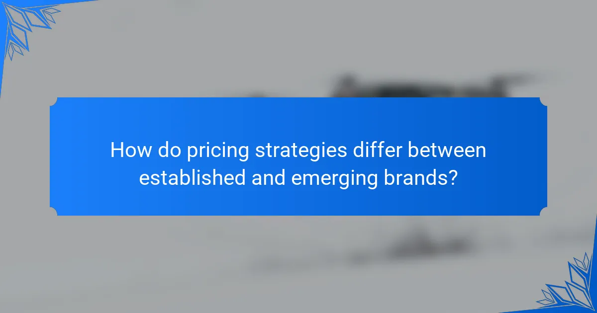 How do pricing strategies differ between established and emerging brands?