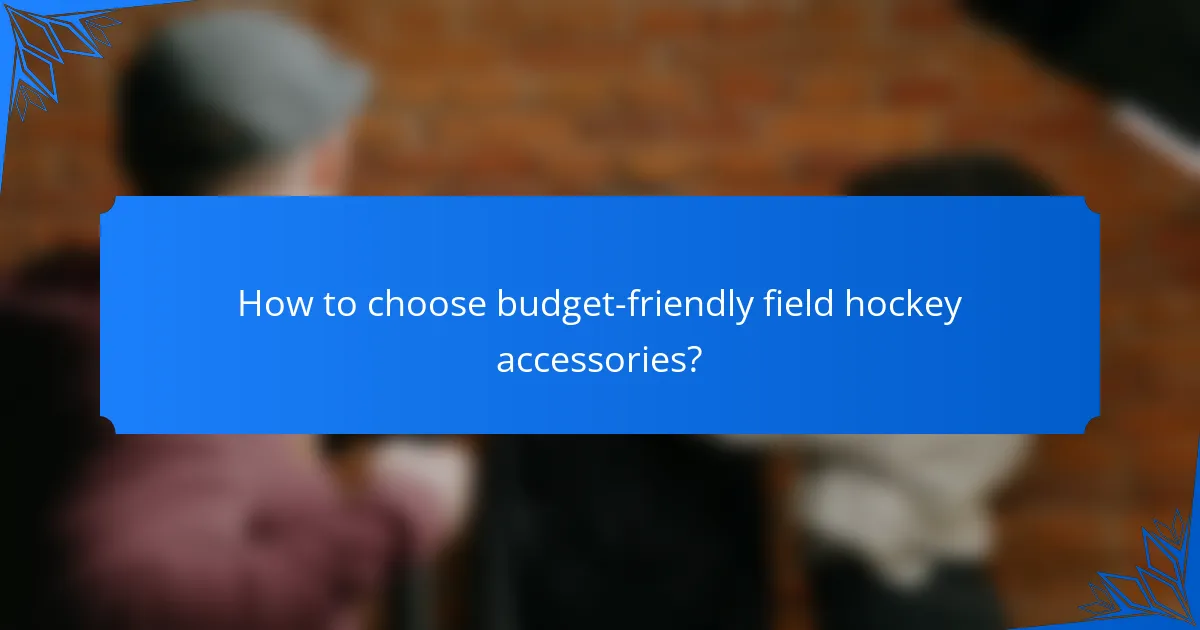 How to choose budget-friendly field hockey accessories?
