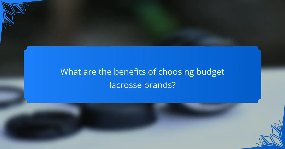 What are the benefits of choosing budget lacrosse brands?