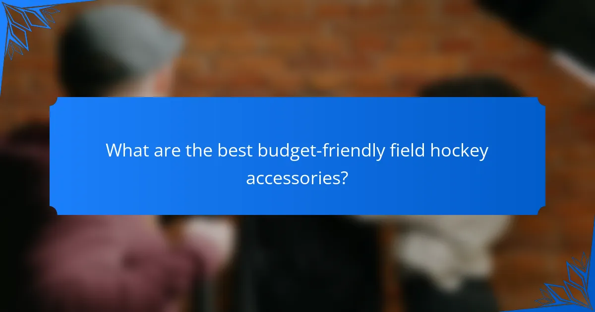 What are the best budget-friendly field hockey accessories?