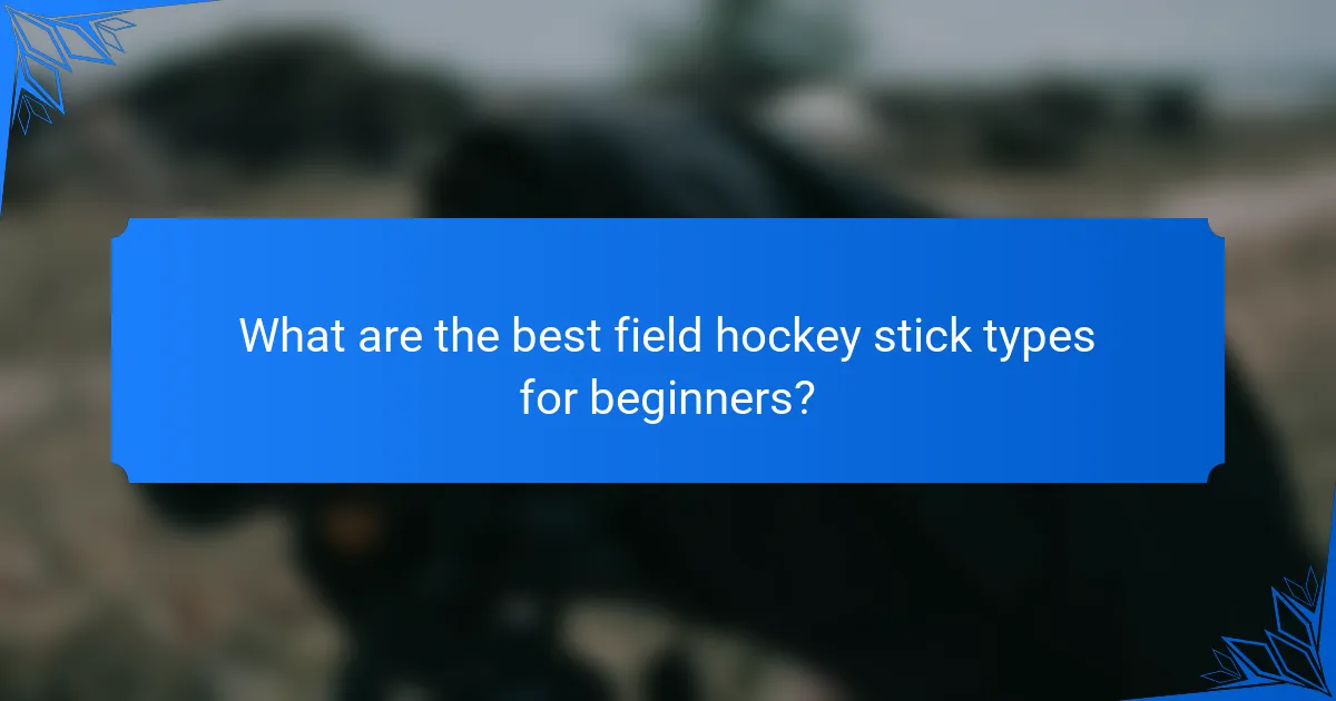 What are the best field hockey stick types for beginners?