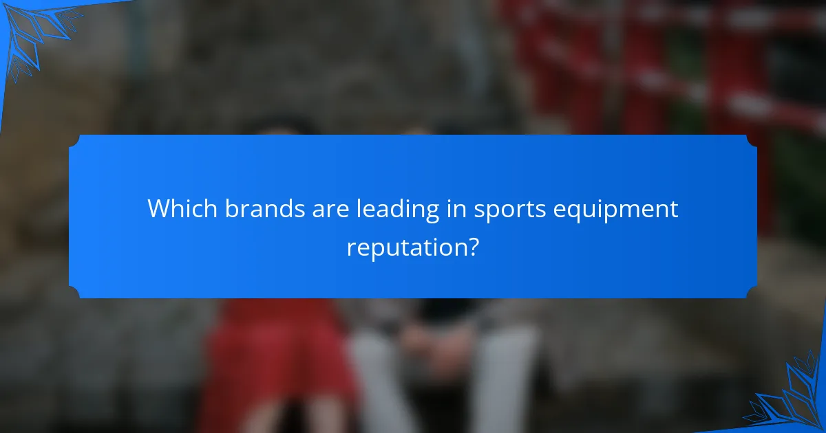 Which brands are leading in sports equipment reputation?